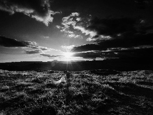 sun, clouds, young, rays, Steam