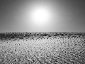 Desert, Sky, sun, horizon