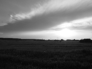 Meadow, west, sun, clouds