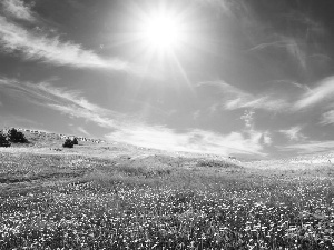 medows, rays, sun, clouds