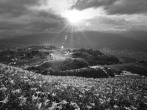 Mountains, field, sun, panorama, rays, medows