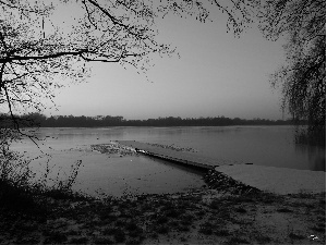 sun, branch pics, Platform, west, lake