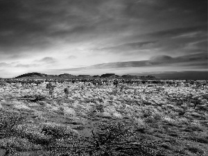 sun, prairie, Mountains, west, clouds