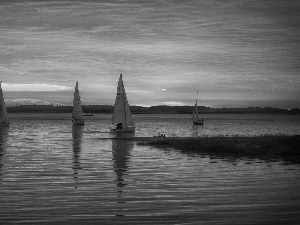 Sailboats, west, sun, lake