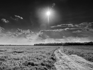 sun, Sky, Way, Meadow, Cross