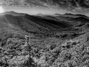 sun, summer, forest, rays, Mountains