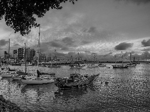 wharf, west, sun, Yachts