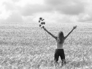 Field, girl, Sunflower, corn