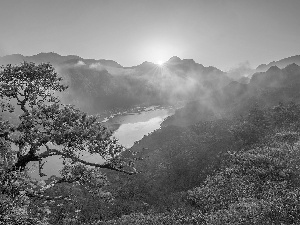 Fog, River, Flowers, Sunrise, Mountains, pine, Fog