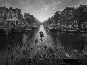 canal, Amsterdam, Flowers, Houses, Netherlands, bridge, Great Sunsets