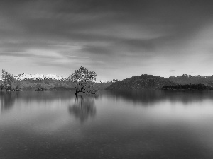 trees, Mountains, Wanaka Lake, New Zeland, Great Sunsets