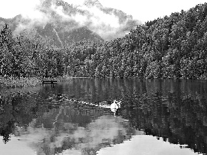 Mountains, lake, swan, woods