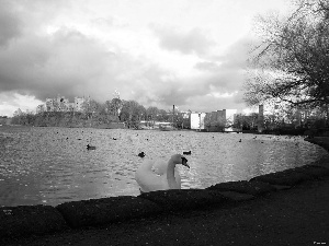 palace, Linlithgow, Black, Scotland, lake, Swans, White