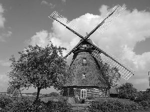 Windmill, viewes, Swing, trees