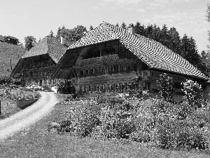 Switzerland, house, Garden