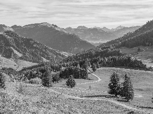 viewes, Way, The Hills, trees, Mountains, Meadow, Switzerland