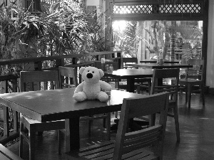 Stool, teddy bear, Table