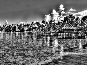 Houses, sea, Tahiti, HDR, Palms, Coast