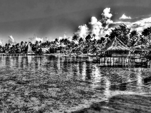 Houses, sea, Tahiti, HDR, Palms, Coast