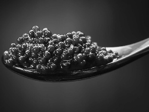 caviar, teaspoon