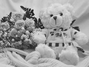 bouquet, White, teddy bear, rouge