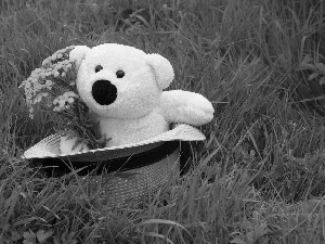 Hat, Meadow, Plush, teddy bear, White