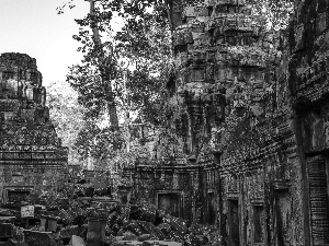 temple, Cambodia, trees, viewes, ruins, Angkor Wat