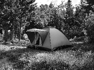 Tent, forest, lake