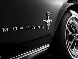 text, Ford, Mustang