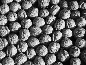 nuts, texture