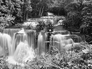 forest, cascade, Thailand, waterfall