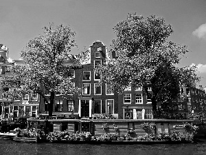 fragment, summer, Amsterdam, apartment house, on The Water, Boat, canal, house, VEGETATION