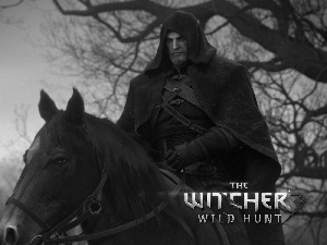 The Witcher 3: The Wild Hunt, Geralt