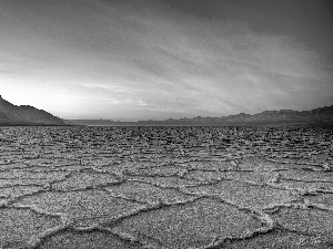 The dried, land