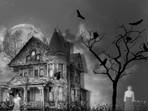 the spirits, Night, trees, birds, Houses