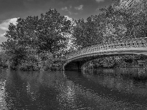 Manhattan, New York, Central Park, Eldorado Building, bridge, The United States, viewes, lake, trees