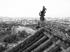 picture, Park, the roof, town