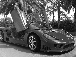 Doors, Saleen S7, The hinged