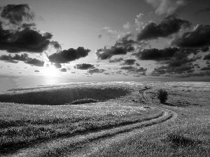 The setting, sun, Way, clouds, Field