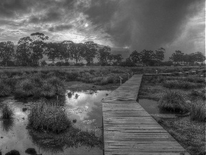 The setting, sun, by, swamp, footbridge