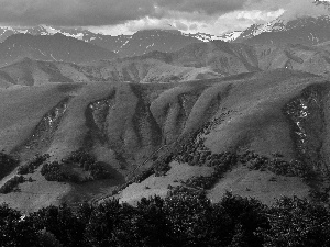 trees, viewes, green ones, The Hills, Mountains