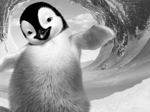 penguin, Tides