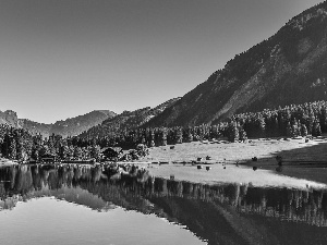 Tirol, Austria, lake, woods, Mountains