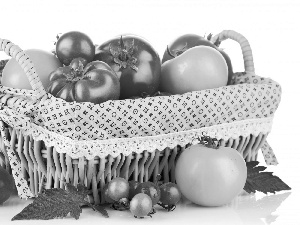 tomatoes, basket, Colorful