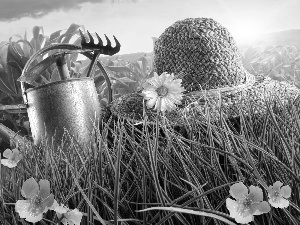 Tools, Supplies, Flowers, Hat, grass