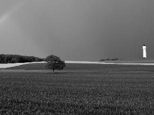 field, trees, tower, Great Rainbows