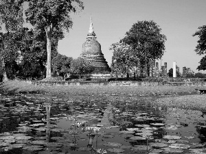 Thailand, Flowers, tower, lake