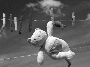 toy, teddy bear, string, Buckles, Sky