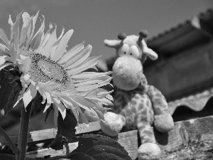 Sunflower, plush toy