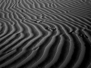 traces, Sand, desert